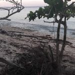 IMG-20260525-WA0108