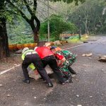 IMG_20260522_105201