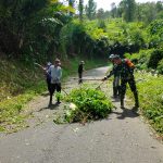 IMG-20260602-WA0038