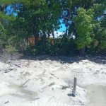 IMG-20260814-WA0187