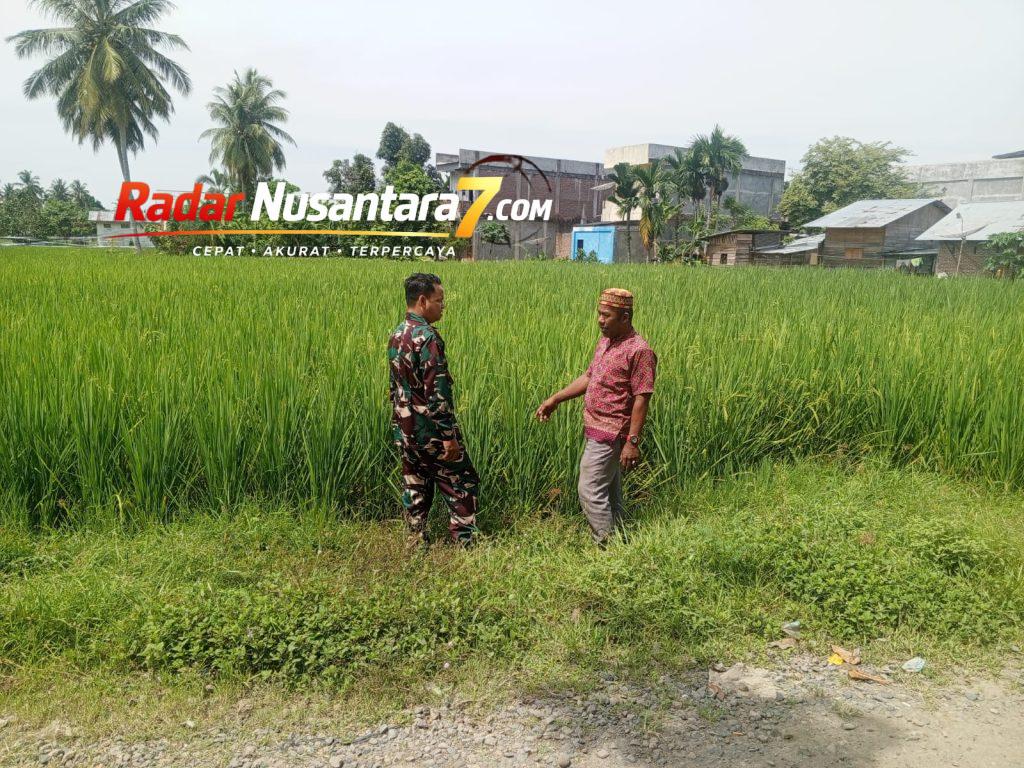 IMG-20260826-WA0155(1)
