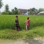 IMG-20260826-WA0155(1)