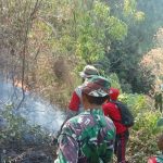IMG-20260916-WA0133